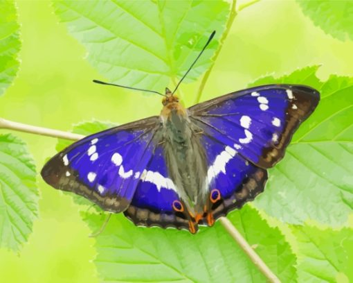 Cool Great Purple Emperor Diamond Painting