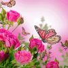 Pink Roses With Butterfly Diamond Painting