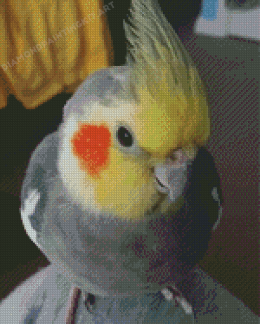 Cute Cockatiel Bird Diamond Painting