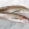 Frozen Hake Fishes Diamond Painting