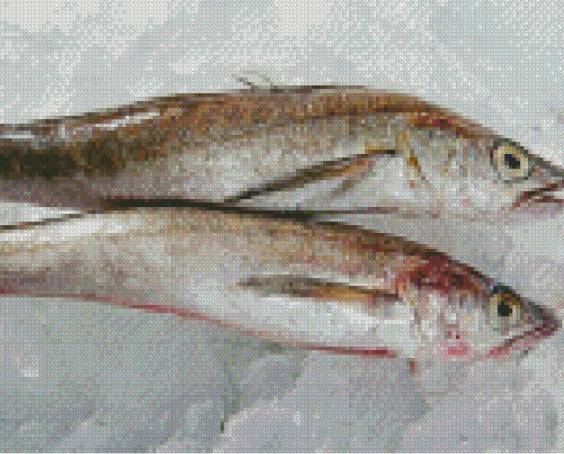 Frozen Hake Fishes Diamond Painting