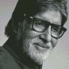 Monochrome Amitabh Bachchan Diamond Painting