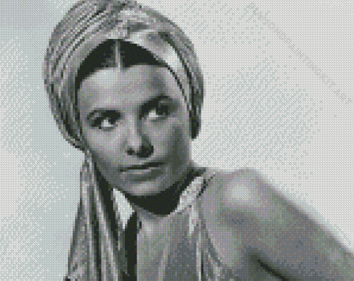 Monochrome Lena Horne Diamond Painting