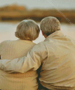 Old Couple In Love Diamond Painting