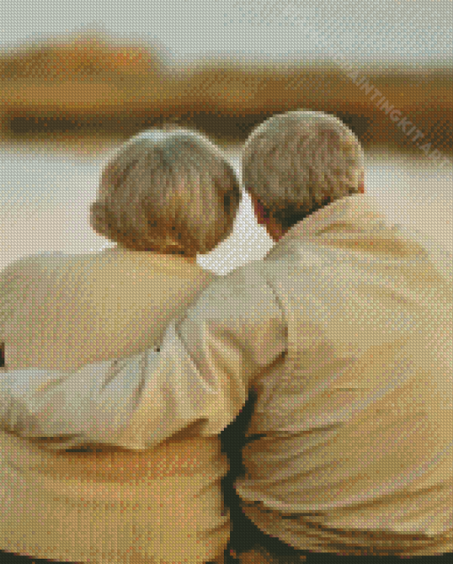 Old Couple In Love Diamond Painting