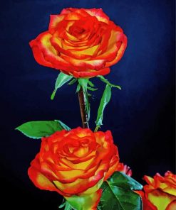 Red And Yellow Roses Diamond Painting