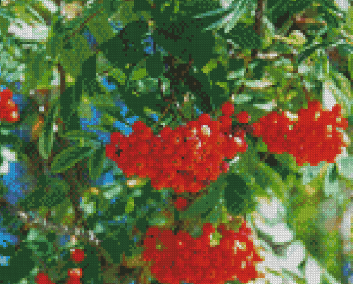 Rowan Berry Food Diamond Painting