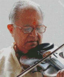 Old Indian Violinist Man Diamond Painting