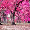 Pink Forest Trees Diamond Painting