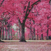 Pink Forest Trees Diamond Painting