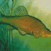 The Bream Fish Diamond Painting