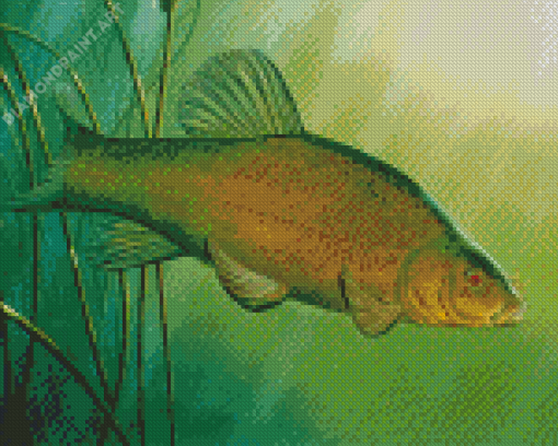 The Bream Fish Diamond Painting