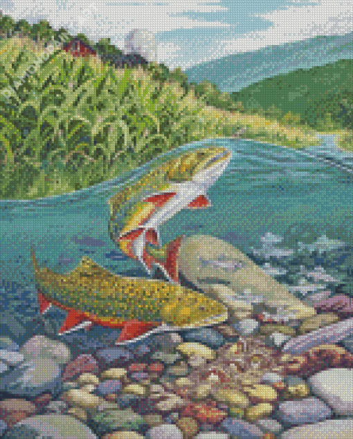 Two Brook Trout Fish Diamond Painting