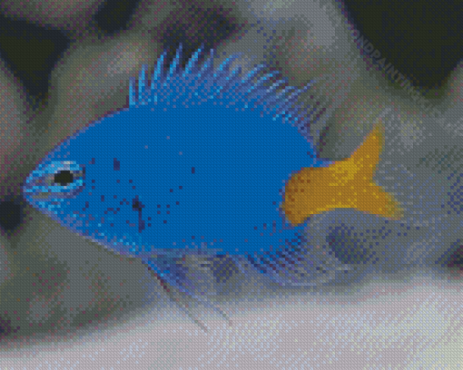 Yellow Tail Blue Damselfish Diamond Painting