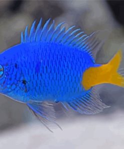 Yellow Tail Blue Damselfish Diamond Painting