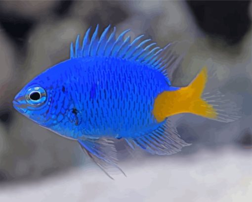 Yellow Tail Blue Damselfish Diamond Painting