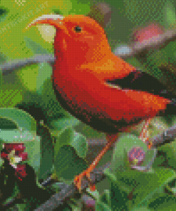 Orange Red Kauai Bird Diamond Painting