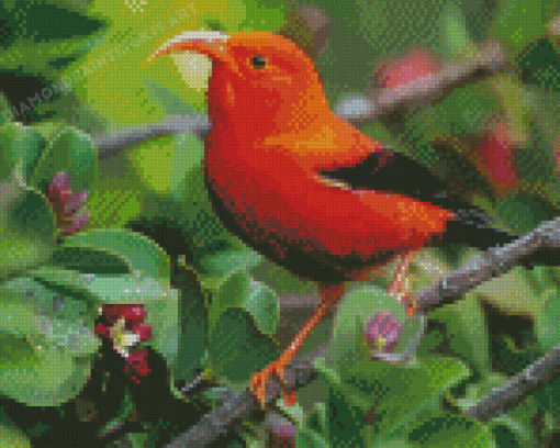 Orange Red Kauai Bird Diamond Painting