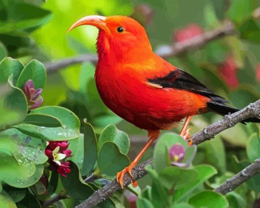 Orange Red Kauai Bird Diamond Painting