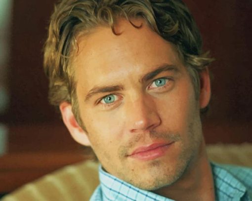 Paul Walker American Actor Diamond Painting