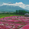 Pink Flower Fields In Hokkaido Garden Diamond Painting