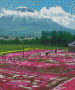 Pink Flower Fields In Hokkaido Garden Diamond Painting