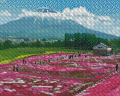 Pink Flower Fields In Hokkaido Garden Diamond Painting