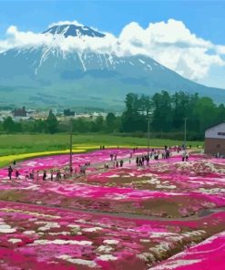 Pink Flower Fields In Hokkaido Garden Diamond Painting