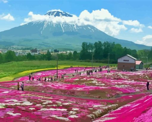 Pink Flower Fields In Hokkaido Garden Diamond Painting