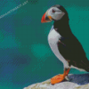 Puffin Animal On Rock Diamond Painting