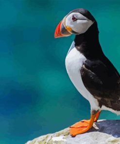 Puffin Animal On Rock Diamond Painting