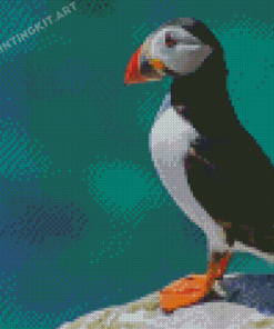 Puffin Animal On Rock Diamond Painting