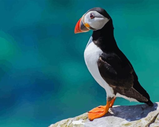 Puffin Animal On Rock Diamond Painting