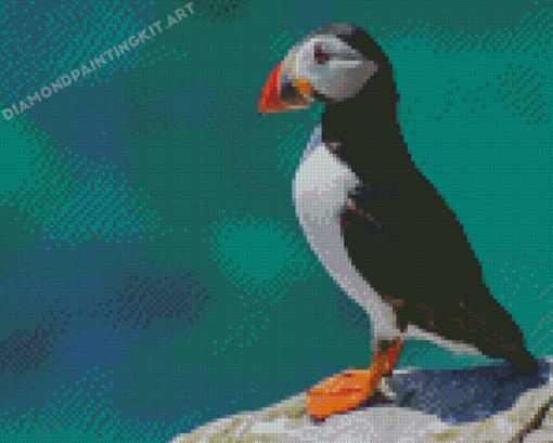 Puffin Animal On Rock Diamond Painting