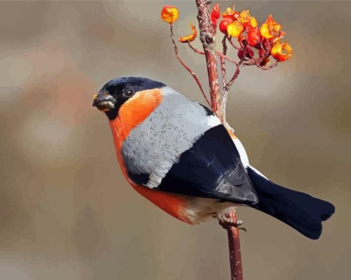 Eurasian Bullfinch Bird Diamond Painting