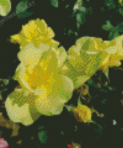 Yellow Austrian Briar Roses Diamond Painting