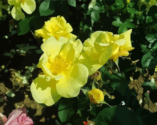 Yellow Austrian Briar Roses Diamond Painting