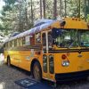 Vintage School Bus In Forest Diamond Painting