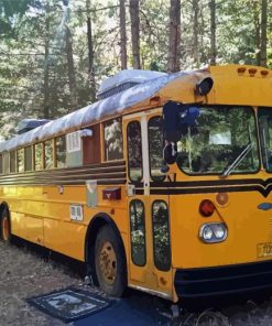 Vintage School Bus In Forest Diamond Painting